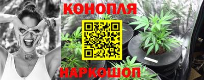 индика Кунгур