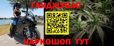 индика Кунгур