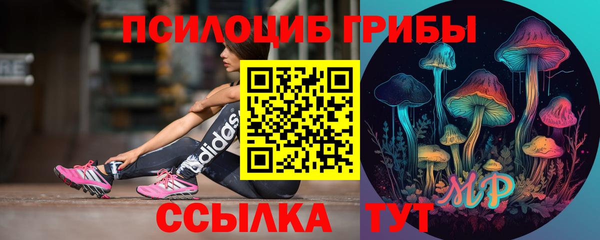 Чайковский  Псилоцибиновые грибы Psilocybe  Вход с VPN 